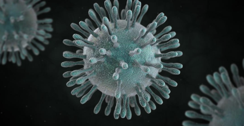 coronavirus mallorca